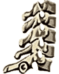 Cervical Spine